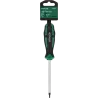 Skrutkovač Torx T10 x 100 mm CrV STALCO