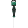 Skrutkovač Torx T30 x 100 mm CrV STALCO