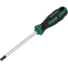 Skrutkovač Torx T40 x 125 mm CrV STALCO