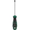 Skrutkovač Torx T40 x 125 mm CrV STALCO